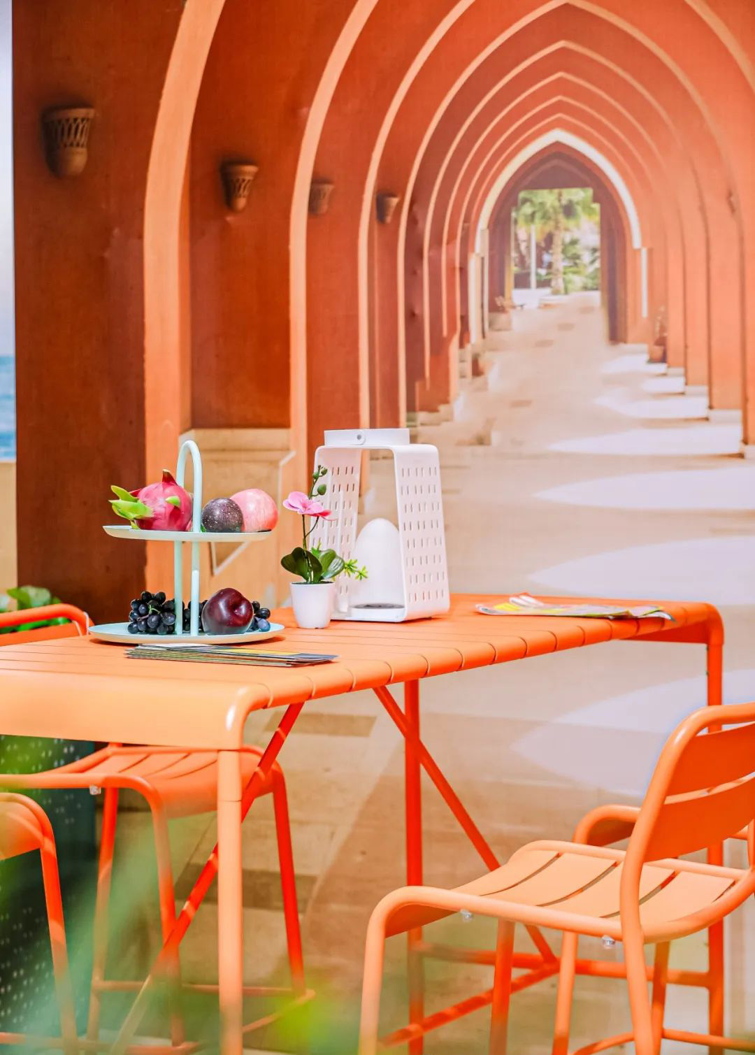 1734659653137501.jpg 2.jpg