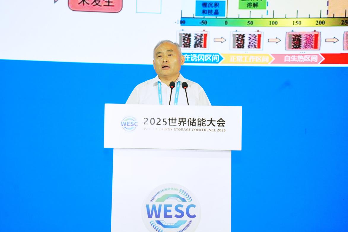 图片8.jpg