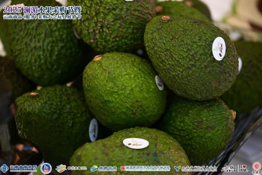 1765264442820168.jpg 图片5.jpg