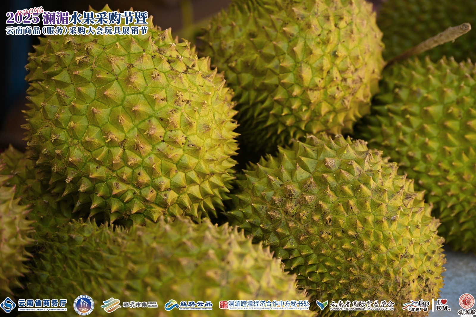 1765264447485016.jpg 图片6.jpg