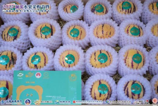 1765264453951144.jpg 图片7.jpg