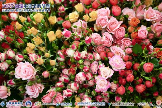 1765264459821408.jpg 图片8.jpg