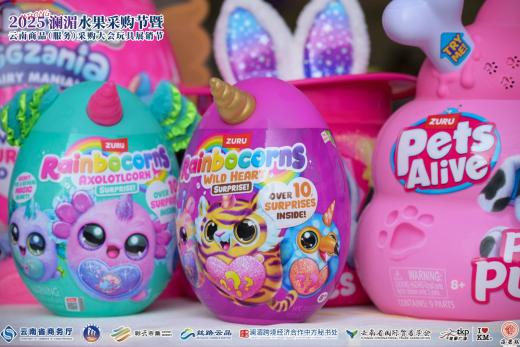 1765264465415760.jpg 图片9.jpg