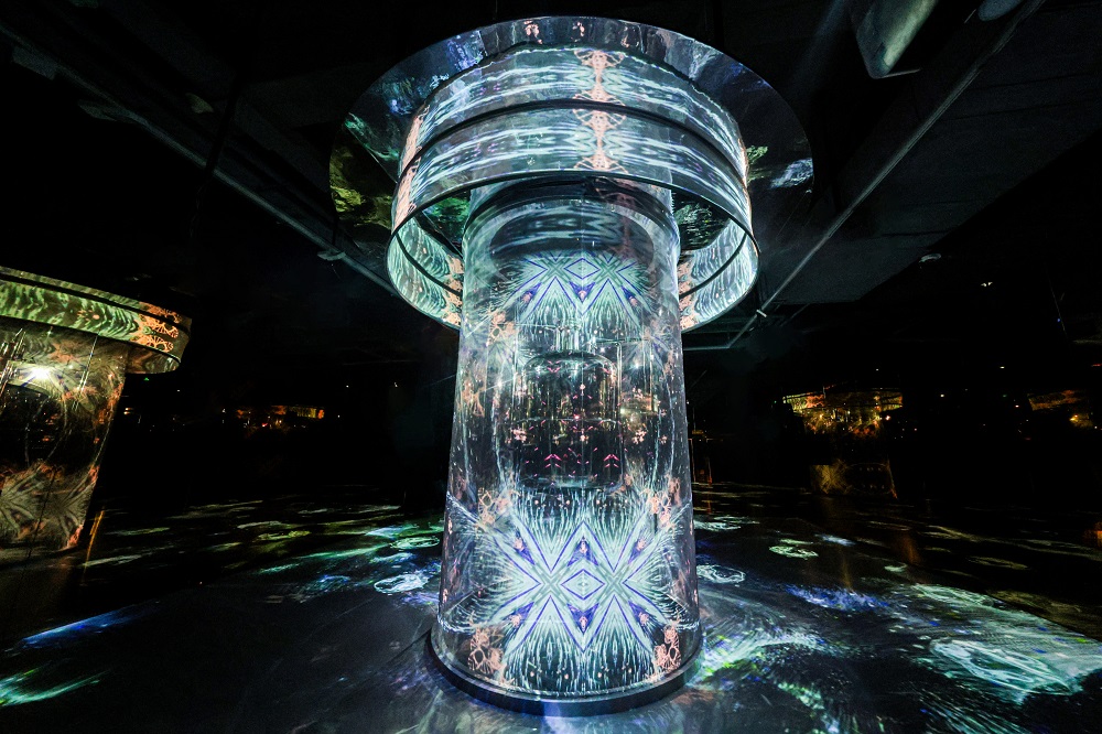 1765786389976766.jpg 觉醒绽放(修图)877.jpg