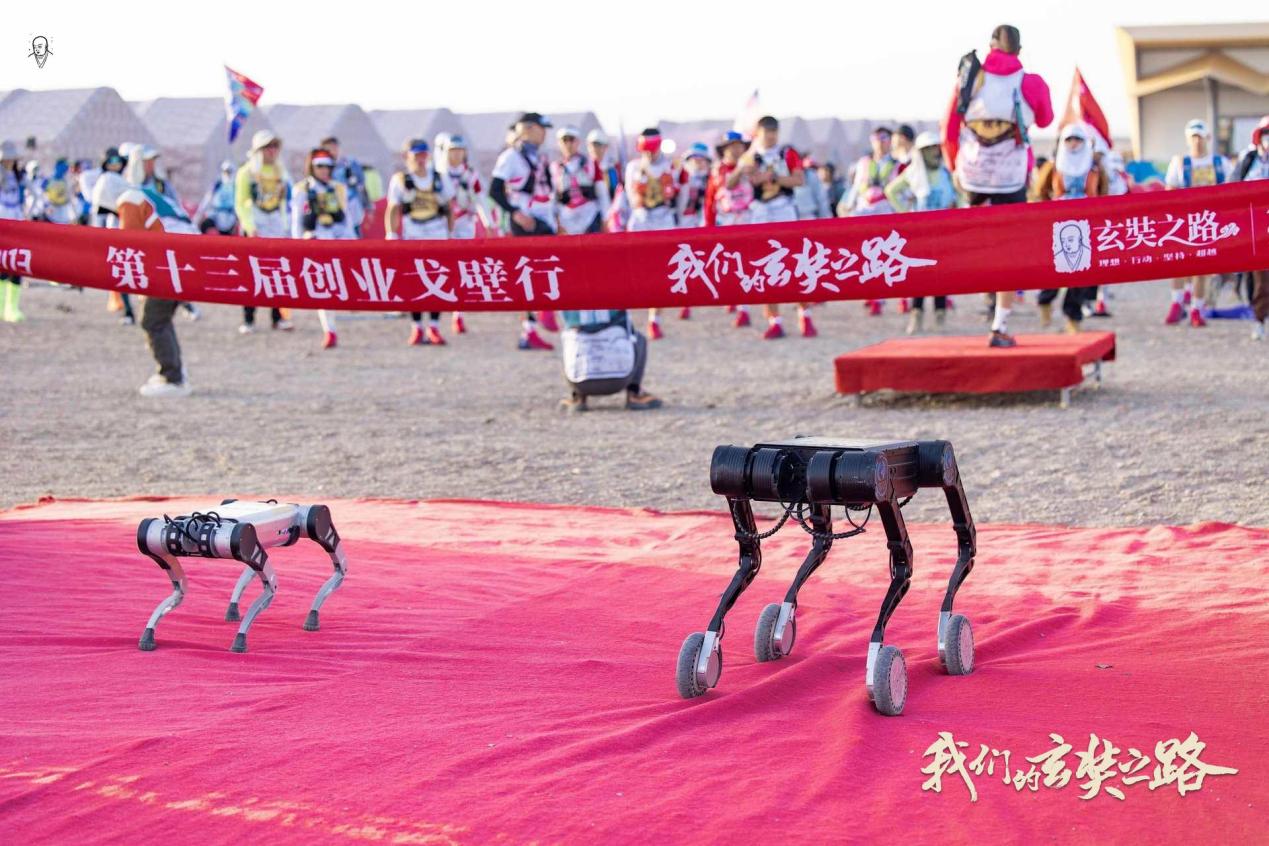 1768902165347568.jpg 图片6.jpg