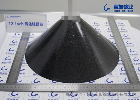 1774582353540987.jpg 640.jpg